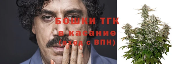PSILOCYBIN Арсеньев