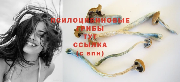 прущие крисы Аркадак