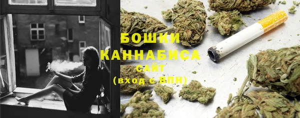 прущие крисы Аркадак
