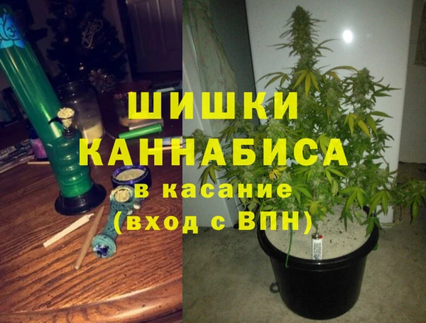 прущие крисы Аркадак