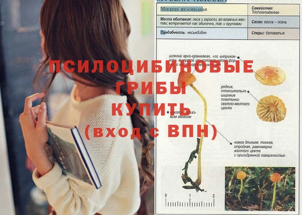 PSILOCYBIN Арсеньев