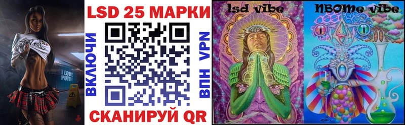 где купить наркоту  Гаджиево  Наркотические марки 1,8мг 