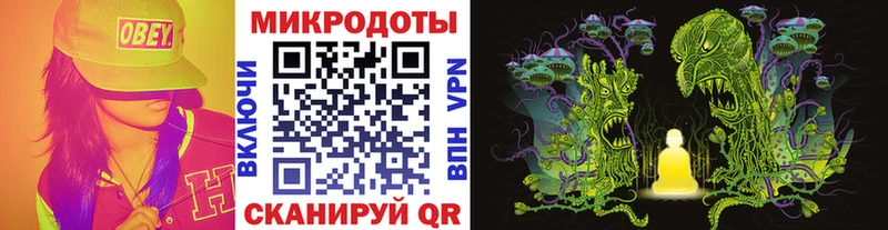 Галлюциногенные грибы Psilocybe  гидра ТОР  Гаджиево 